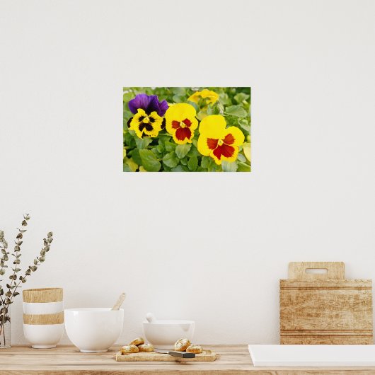 gele pansiebloemen poster (Keuken)