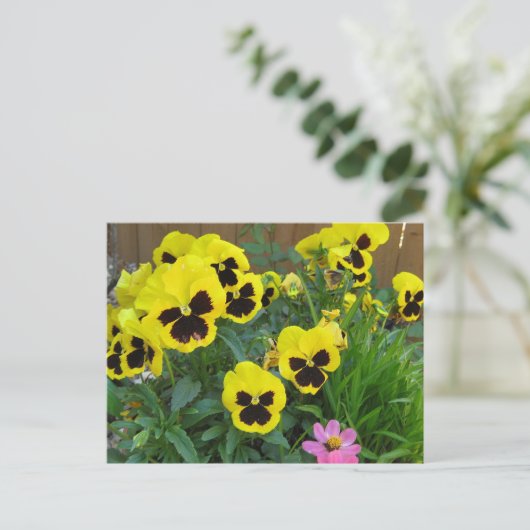 Gele pansies briefkaart (Staand voorkant)