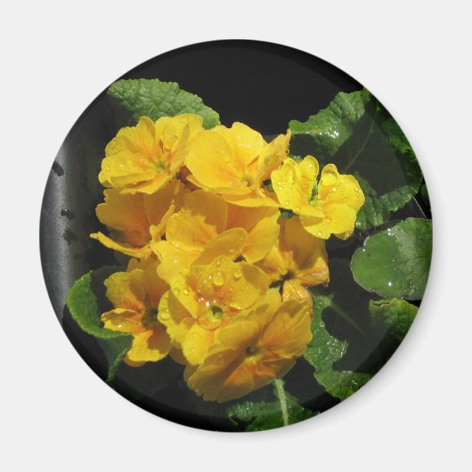 Gele pansies magneet (Voorkant)