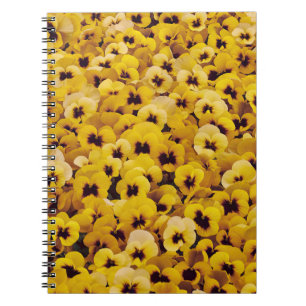 Gele pansies notitieboek