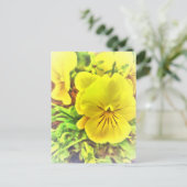 gele Pansies Pansy Flowers Sunny Garden Briefkaart (Staand voorkant)
