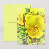 gele Pansies Pansy Flowers Sunny Garden Briefkaart (Voorkant / Achterkant)