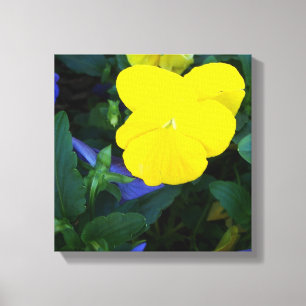 Gele Pansy Spring Flowers Floral Canvas Art Afdruk