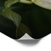 Gele Pantoffelbloem 2 Print (Hoek)