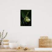 Gele Pantoffelbloem-afdruk Poster (Keuken)