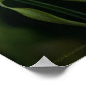 Gele Pantoffelbloem-afdruk Poster (Hoek)