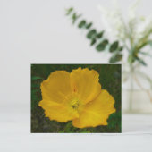 Gele papaver Alaskan Wildflower Floral Briefkaart (Staand voorkant)