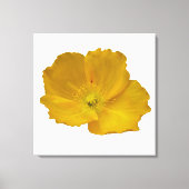 Gele papaver Alaskan Wildflower Floral Canvas Afdruk (Voorkant)