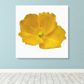Gele papaver Alaskan Wildflower Floral Canvas Afdruk (Insitu (Houten vloer))