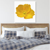 Gele papaver Alaskan Wildflower Floral Canvas Afdruk (Insitu (Slaapkamer))
