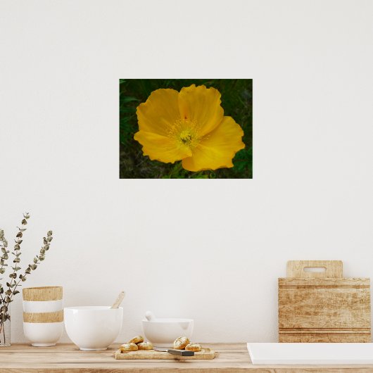 Gele papaver Alaskan Wildflower Floral Poster (Keuken)