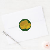 Gele papaver Alaskan Wildflower Floral Ronde Sticker (Envelop)