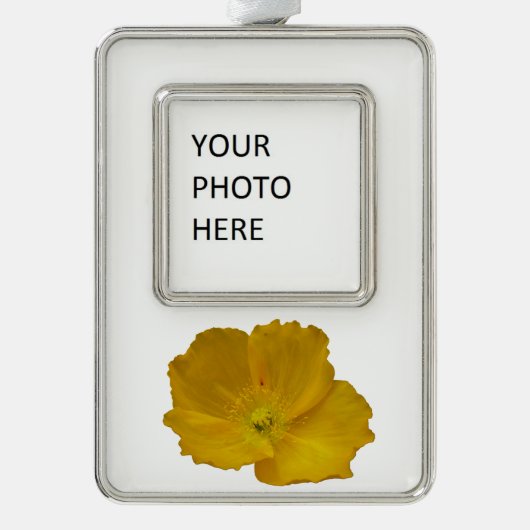 Gele papaver Alaskan Wildflower Floral Verzilverd Omlijst Ornament (Voorkant)