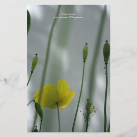 Gele papaver, geel, gepersonaliseerd 3 briefpapier (Voorkant)