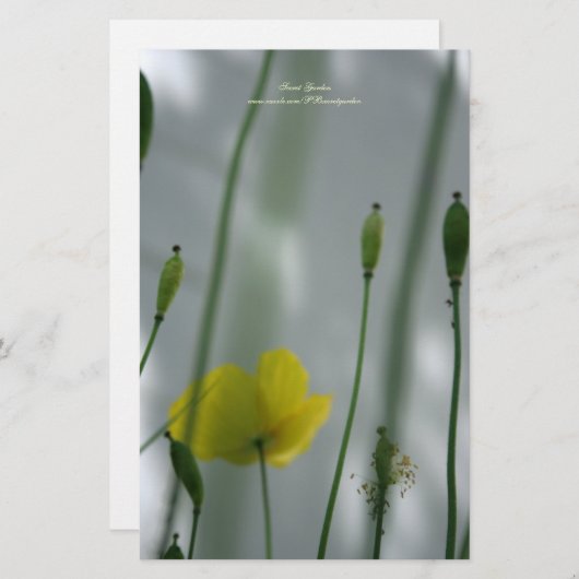 Gele papaver, geel, gepersonaliseerd 3 briefpapier (Voorkant / Achterkant)