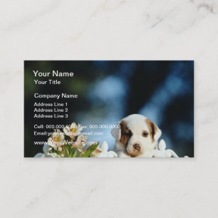 Gele papaver met bruine oren die op ijzerfen kijkt visitekaartje