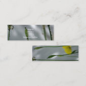 Gele papavers, geschoren op 10 Visitekaartjes (Voorkant / Achterkant)