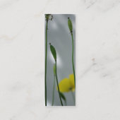 Gele papavers, geschoren op 10 Visitekaartjes (Achterkant)