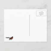 Gele papegaai briefkaart (Achterkant)