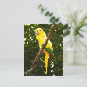 Gele papegaai briefkaart (Staand voorkant)