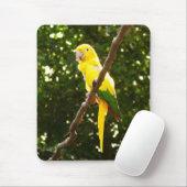 Gele papegaai muismat (Met muis)