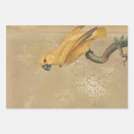 Gele papegaai op Tan en Gold Inpakpapier Vel (Voorkant)