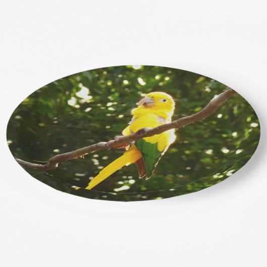 Gele papegaai papieren bordje (Gekanteld)