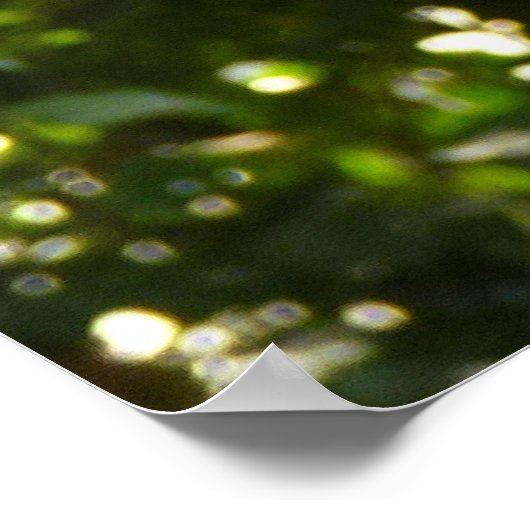 Gele papegaai poster (Hoek)