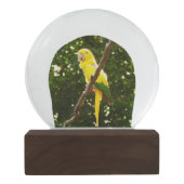 Gele papegaai sneeuwbol (Achterkant)