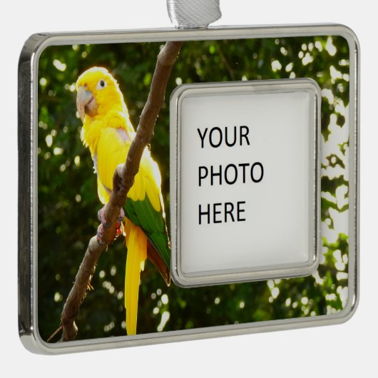 Gele papegaai verzilverd omlijst ornament (Rechts)