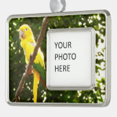 Gele papegaai verzilverd omlijst ornament (Links)
