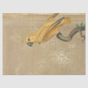 Gele papegaaien op verkenningspagina van Tan en Go Tissuepapier