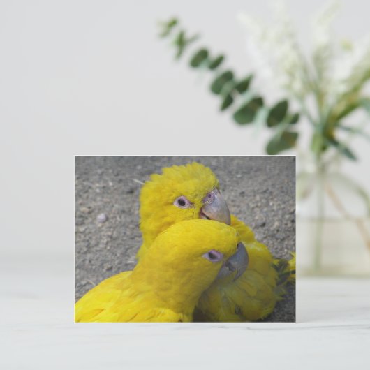 Gele parrots Paars DIY Briefkaart (Staand voorkant)