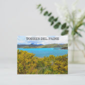 gele patagonia briefkaart (Staand voorkant)