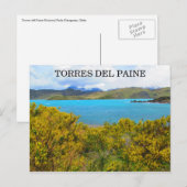 gele patagonia briefkaart (Voorkant / Achterkant)