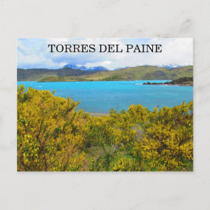 gele patagonia briefkaart