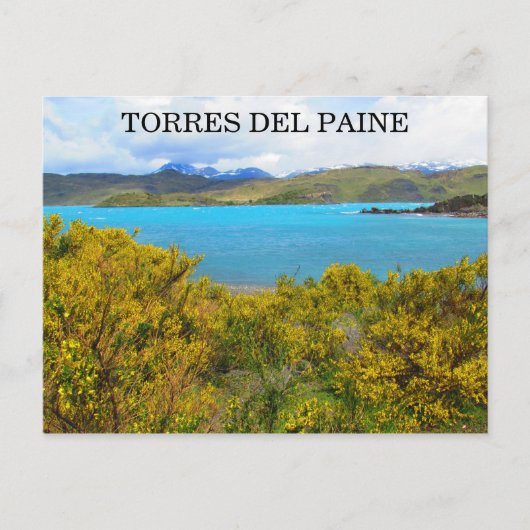 gele patagonia briefkaart (Voorkant)