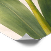 Gele Phalaenopsis-orchidee bloem botanisch Poster (Hoek)