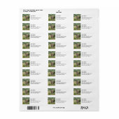 Gele Pijl Adresetiketten Etiket (Full Sheet)