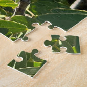 Gele pindakaas cassia, Oakland Legpuzzel (Zijkant)