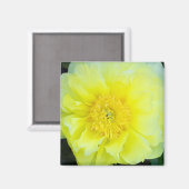 Gele Pioen Magneet (Voorkant / Achterkant)