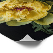Gele Pioenrozen Bloemen Art Print Poster (Hoek)