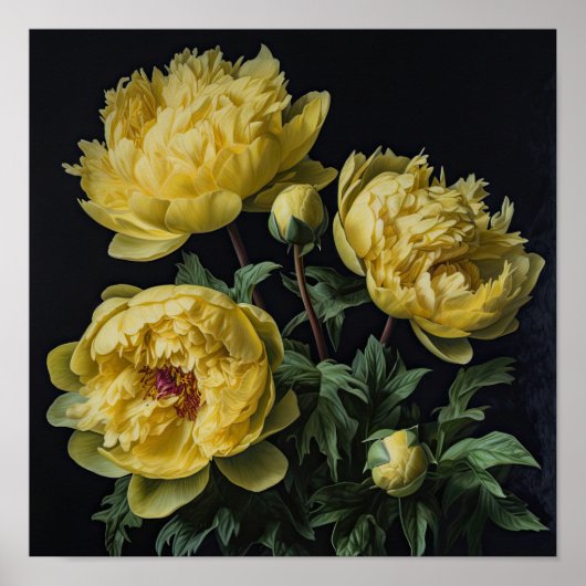Gele Pioenrozen Bloemen Art Print Poster (Voorkant)