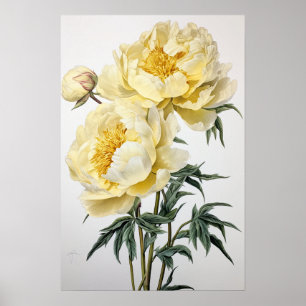 Gele Pioenrozen Bloemen Art Print Poster