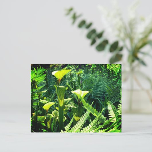 Gele Pitcher-Planten Briefkaart (Staand voorkant)