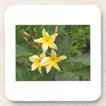Gele Plumeria Botanische Bloem