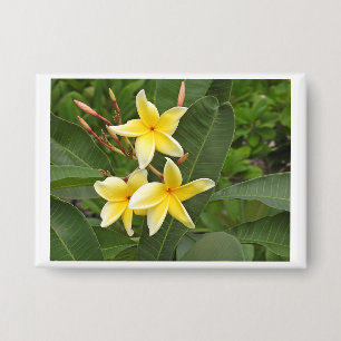 Gele Plumeria Tropische Bloem Foto Pin Knop Button