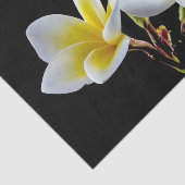 gele plunjestalfoto tissuepapier (Detail)