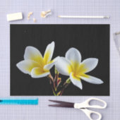 gele plunjestalfoto tissuepapier (Craft)