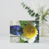 Gele pony-ventilator in Blue Vase Briefkaart (Staand voorkant)